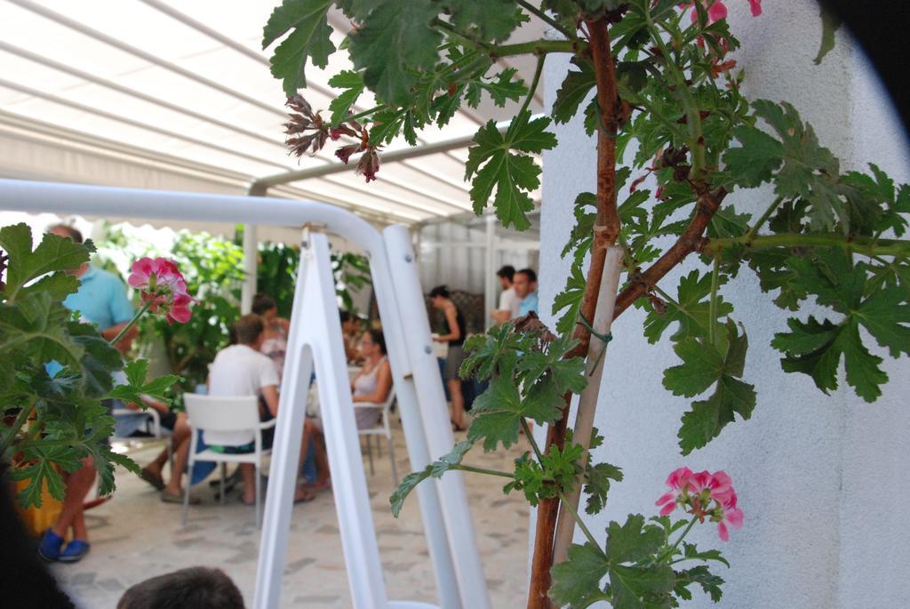 Hotel Cristall San Benedetto del Tronto Exterior foto